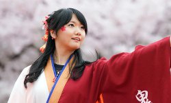 フォトコンテスト フォトコンテスト